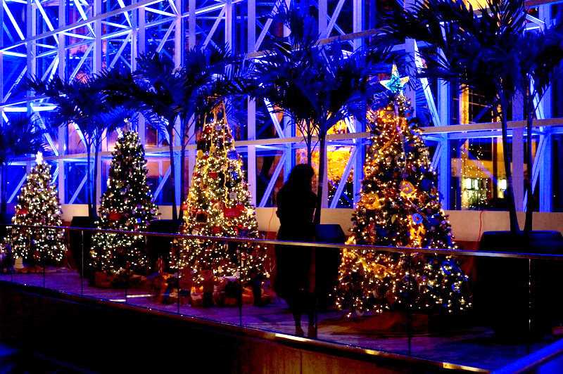 Help For Christmas In Piedmont Sc 2022 Southern Charm For Two: A Romantic Guide To Greenville, S.c. | Travelzoo