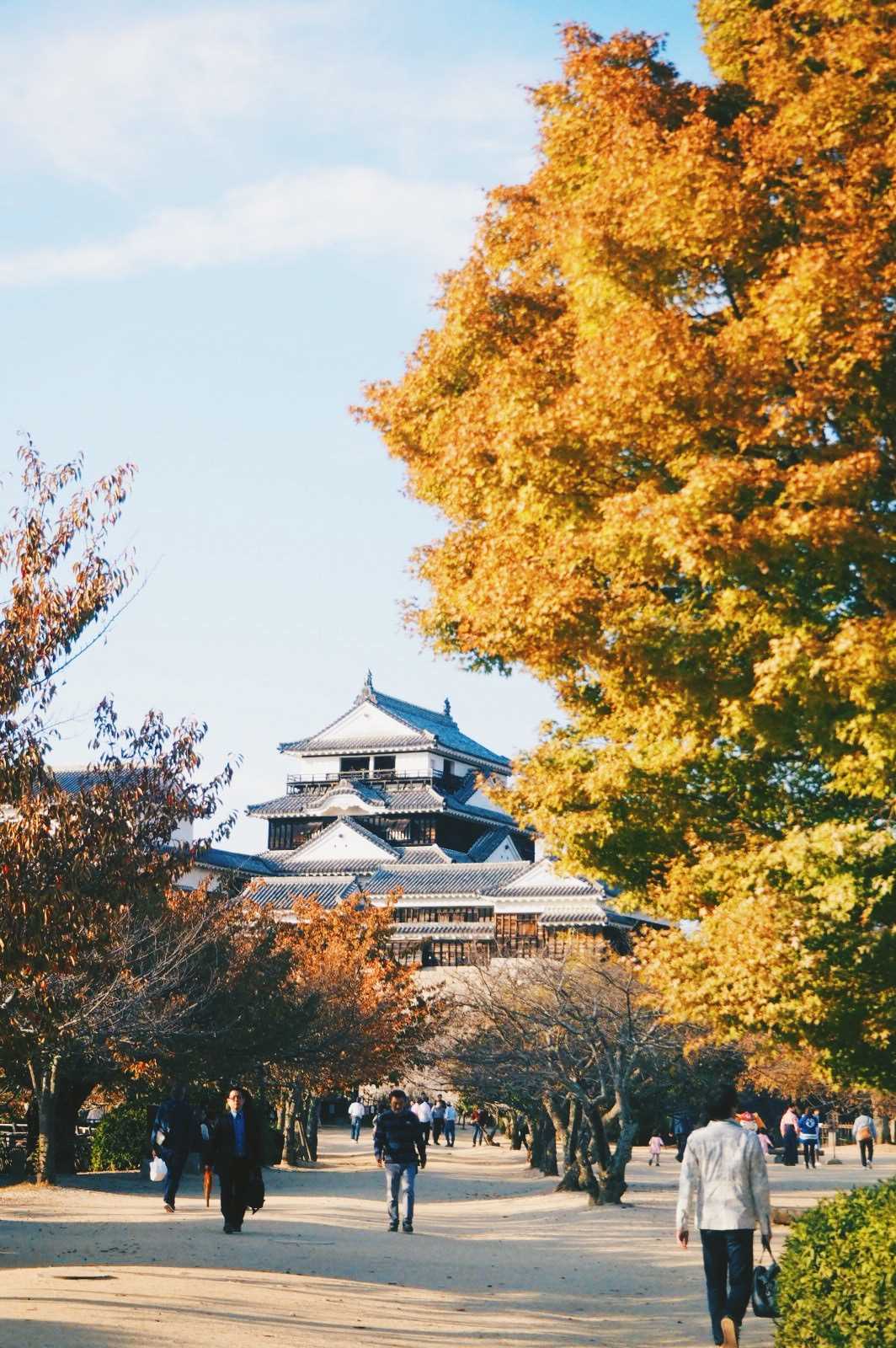 日本九州四國自由行 大分 愛媛縣景點美食交通全攻略 Travelzoo