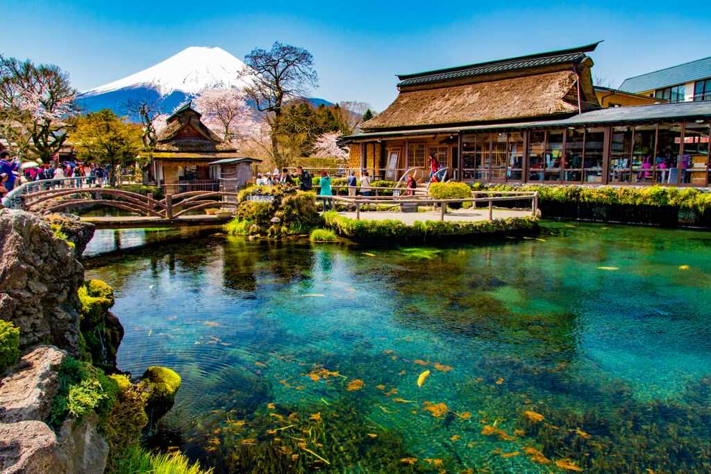 櫻花季出遊 東京近郊5 大特色一天團推薦富士山河口湖 箱根 鐮倉 日光 Travelzoo 櫻花季出遊 東京近郊5 大特色一天團推薦富士山河口湖 箱根 鐮倉 日光 Travelzoo