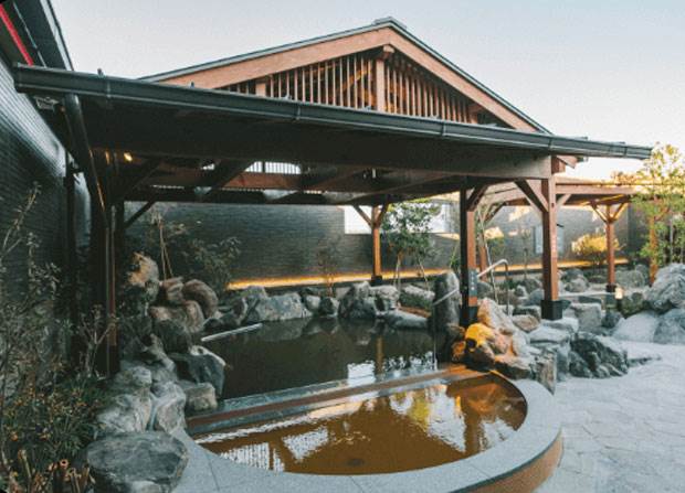 進化系スーパー銭湯ランキング 1位は ドラゴンサウナ 農園 温泉他個性派ズラリ トラベルズー