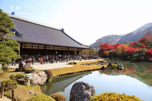 独家抢先看 日本红叶季 你最亟需get 是这两类赏枫线路 Travelzoo旅游族 独家抢先看 日本红叶季 你最亟需get 是这两类赏枫线路 Travelzoo旅游族