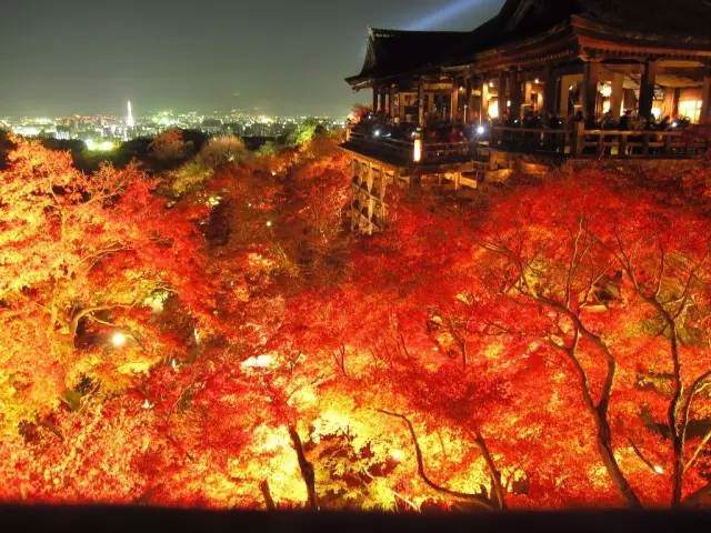 京都红叶季 不想入冬的宝宝们 这里还有秋天绝美的尾巴 Travelzoo旅游族