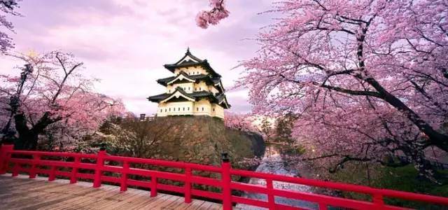 日本最高逼格的10处赏樱圣地 去过5处以上才是真正玩家 Travelzoo旅游族 日本最高逼格的10处赏樱圣地 去过5处以上才是真正玩家 Travelzoo旅游族