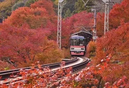 独家抢先看 日本红叶季 你最亟需get 是这两类赏枫线路 Travelzoo旅游族