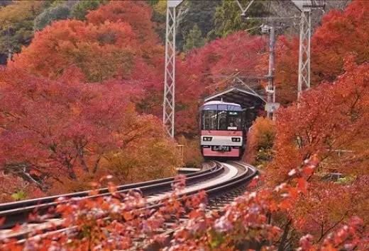独家抢先看 日本红叶季 你最亟需get 是这两类赏枫线路 Travelzoo旅游族 独家抢先看 日本红叶季 你最亟需get 是这两类赏枫线路 Travelzoo旅游族