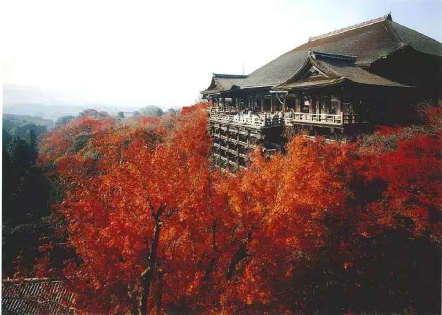 京都红叶季 不想入冬的宝宝们 这里还有秋天绝美的尾巴 Travelzoo旅游族 京都红叶季 不想入冬的宝宝们 这里还有秋天绝美的尾巴 Travelzoo旅游族