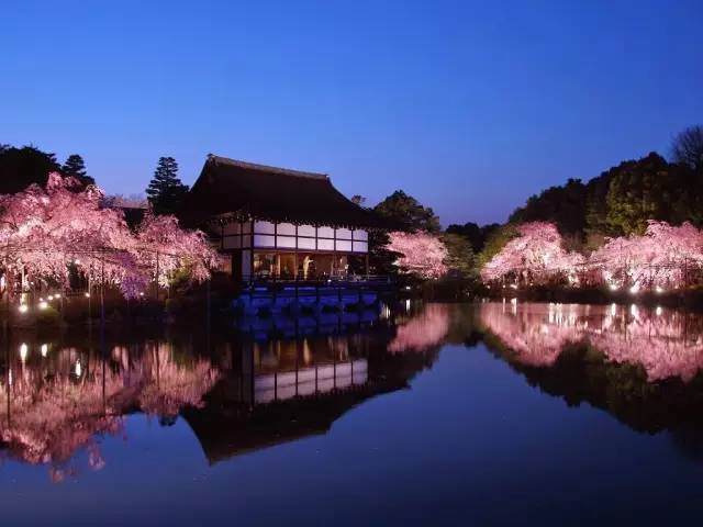 京都红叶季 不想入冬的宝宝们 这里还有秋天绝美的尾巴 Travelzoo旅游族 京都红叶季 不想入冬的宝宝们 这里还有秋天绝美的尾巴 Travelzoo旅游族