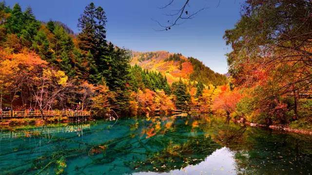 四川最全红叶观赏指南 不去就辜负秋天了 Travelzoo旅游族 四川最全红叶观赏指南 不去就辜负秋天了 Travelzoo旅游族
