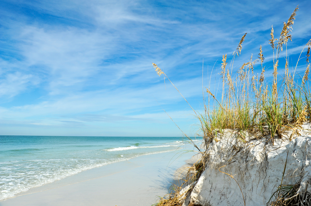 5 Reasons Florida's West Coast Should Be Your Go-to Destination 