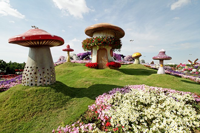 its true the dubai miracle garden feels like something straight out of alice in wonderland - Miracle Garden Dubai its true the dubai miracle garden feels like something straight out of alice in wonderland - Miracle Garden Dubai
