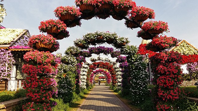 the garden showcases roughly 100 million blooming flowers all of which are cared for by a team of nearly 200 gardeners - Alice In Wonderland Garden the garden showcases roughly 100 million blooming flowers all of which are cared for by a team of nearly 200 gardeners - Alice In Wonderland Garden