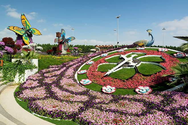 Dubai S Miracle Garden Is A Real Life Alice In Wonderland Travelzoo Dubai S Miracle Garden Is A Real Life Alice In Wonderland Travelzoo