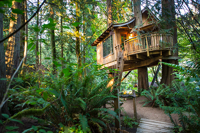 9 Treehouse Hotels That Will Make You 