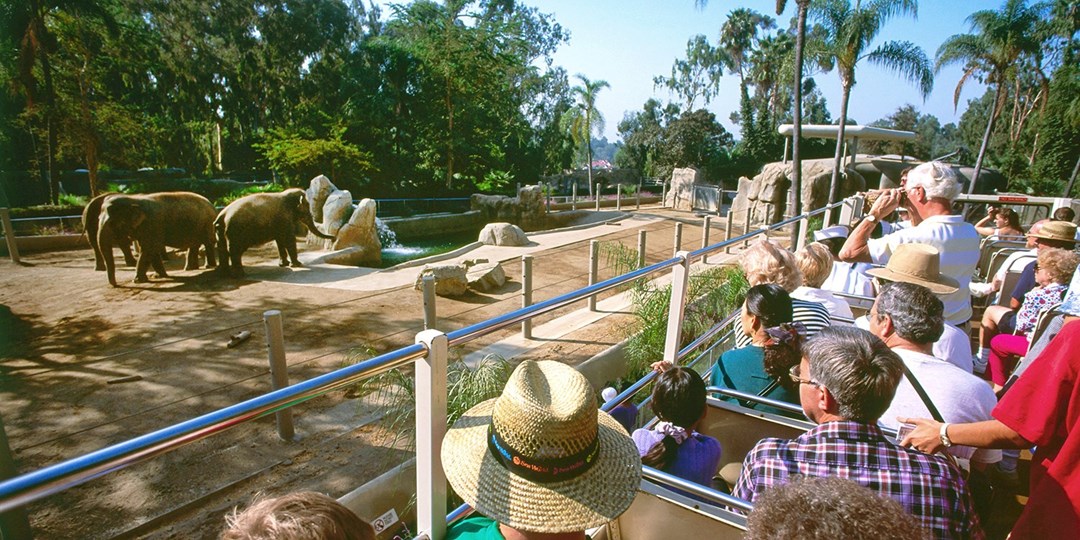 zoo travel