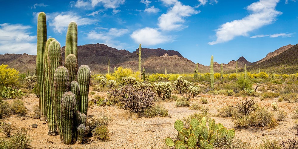 Phoenix Activity & Attractions Deals | Travelzoo