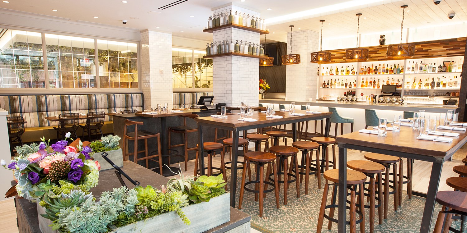 59 The Wilson Bottomless Brunch at New Chelsea Restaurant Travelzoo