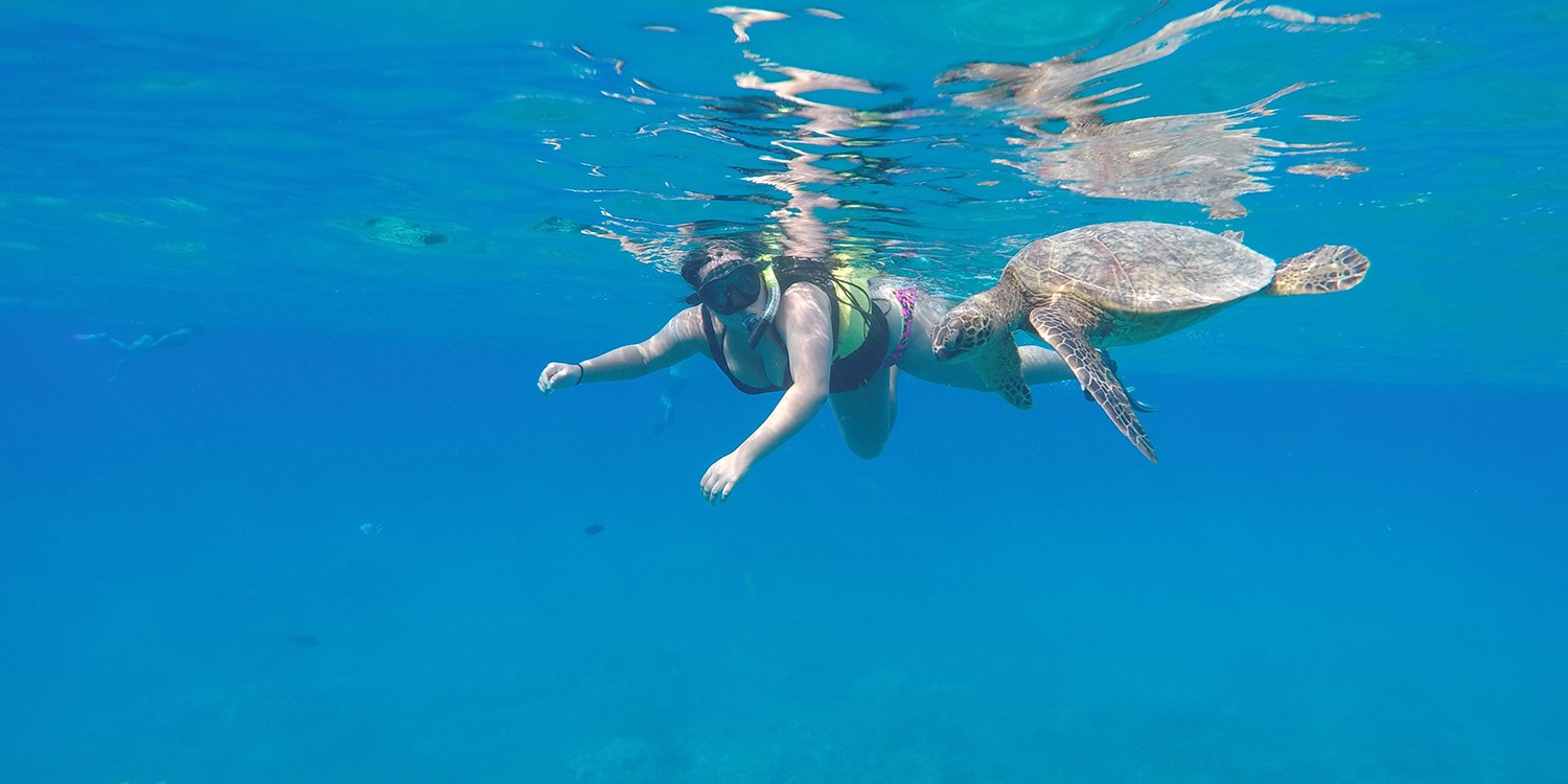 $49 – Oahu: Snorkeling Tour of Hanauma Bay | Travelzoo