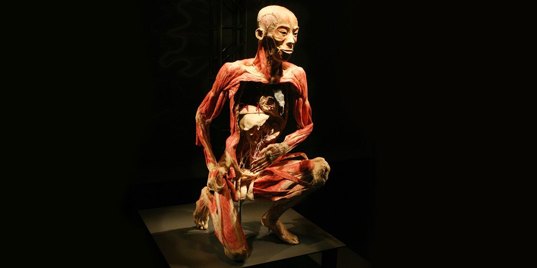 Bodies exhibit atlanta coupon code