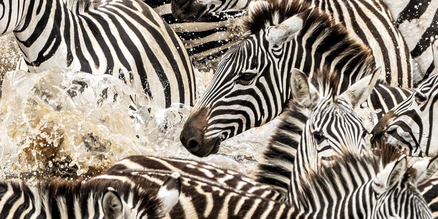 Travelzoo Deals on Hotels, Flights, Vacations, Cruises & More