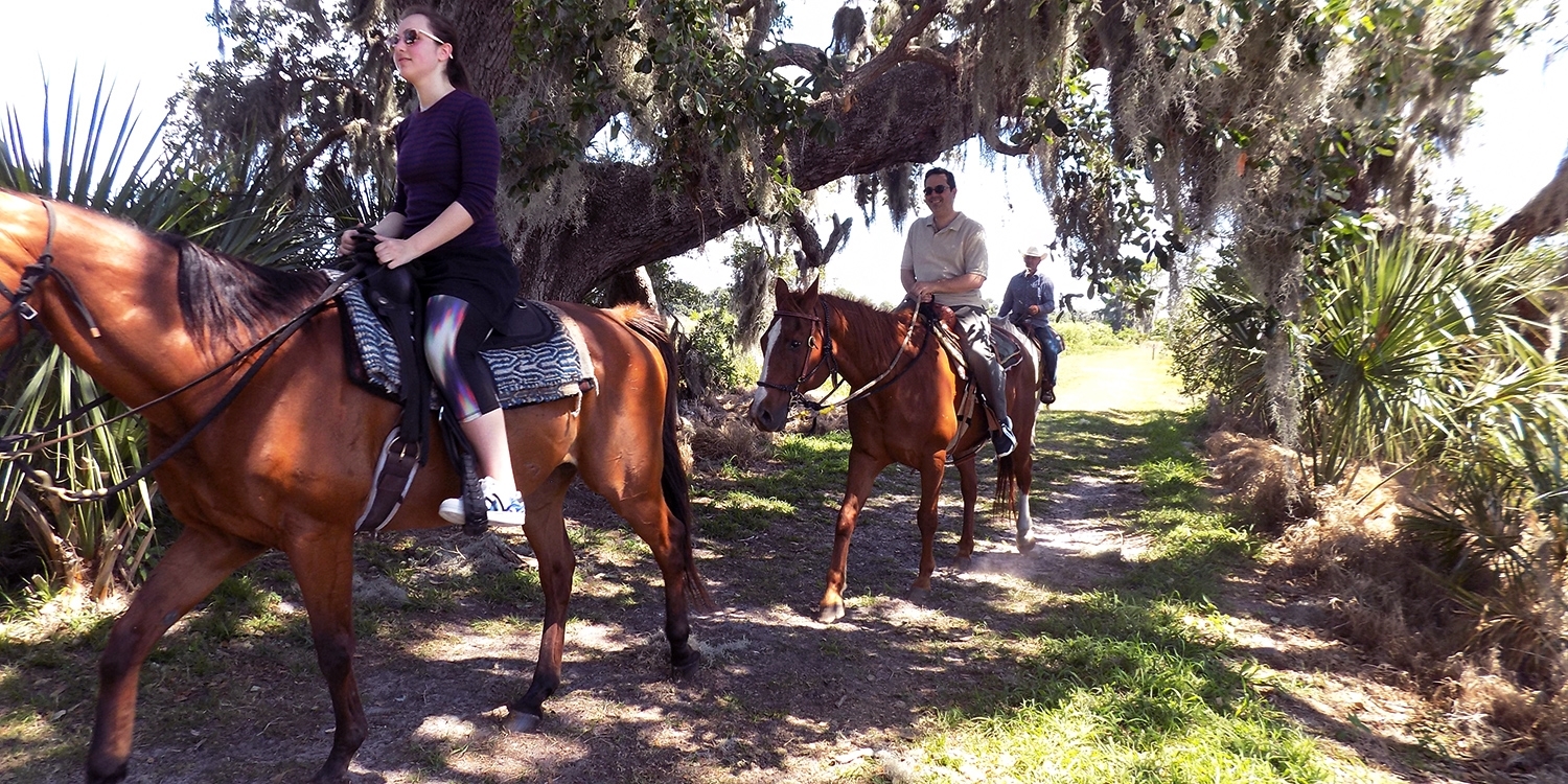 39 Horseback Riding in Orlando incl. Sunset Rides Travelzoo