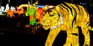 Nyc winter lantern festival coupon