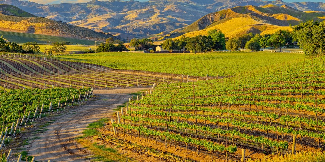 $79 – Santa Ynez Wine Country Getaway for 2 | Travelzoo