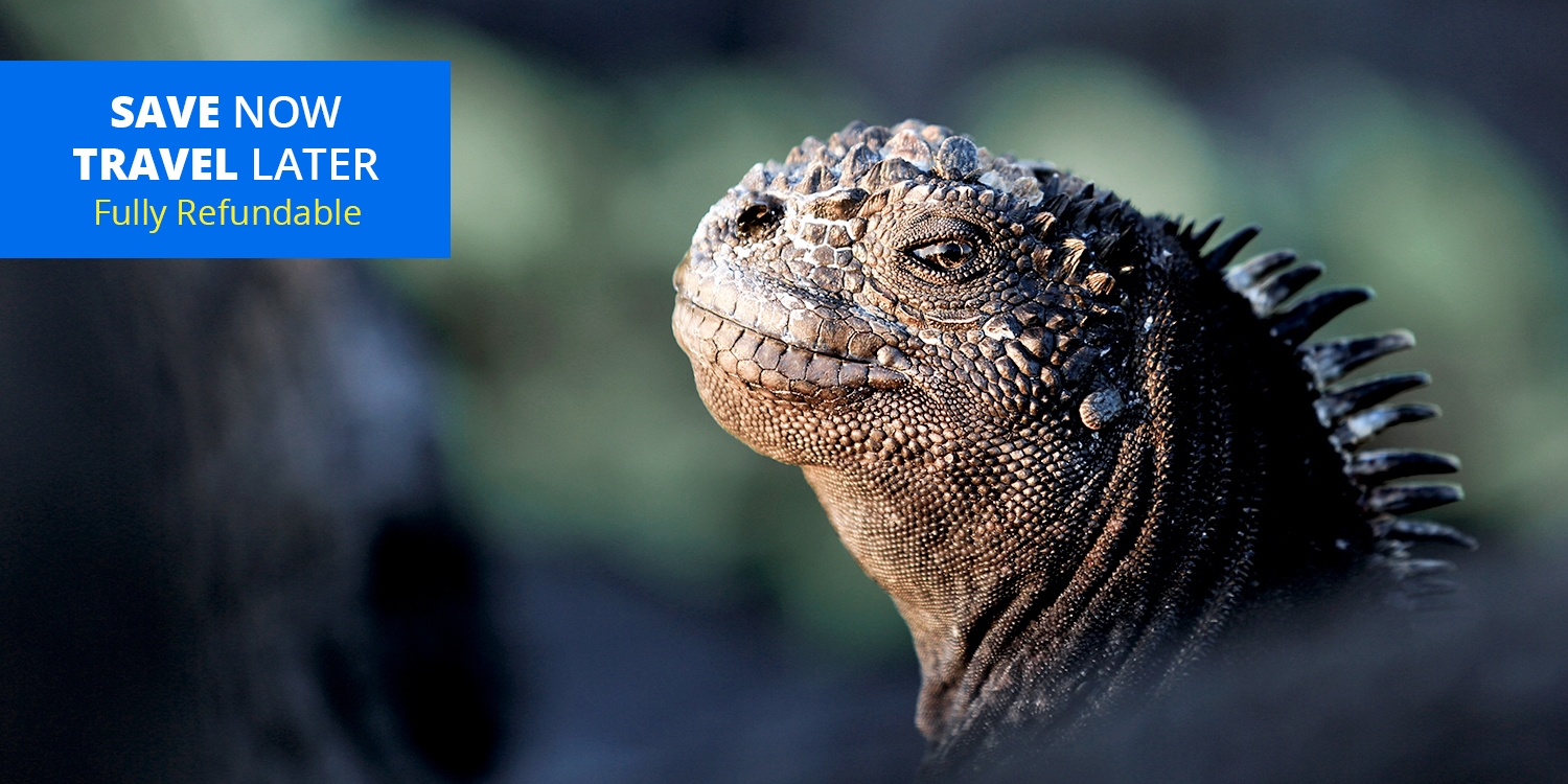 Travelzoo Deals on Hotels, Flights, Vacations, Cruises & More