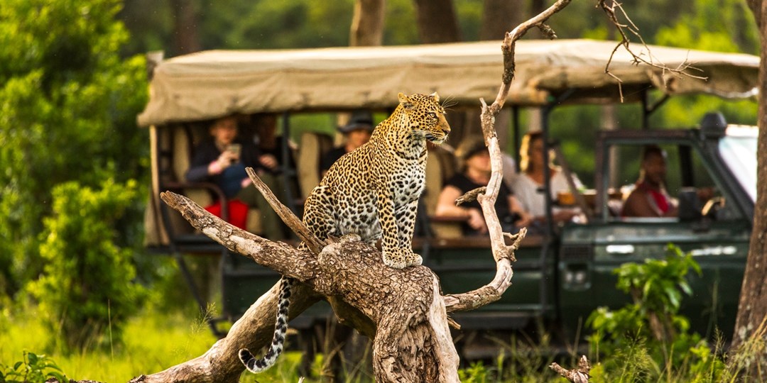 3199 & up—Kenya 7night tour w/safaris & air, save 2140 Travelzoo