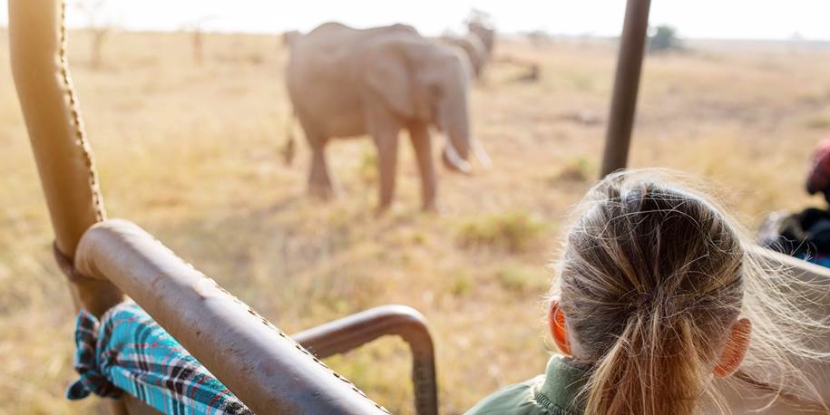 Lowest Price Seen: South African Safari w/Air