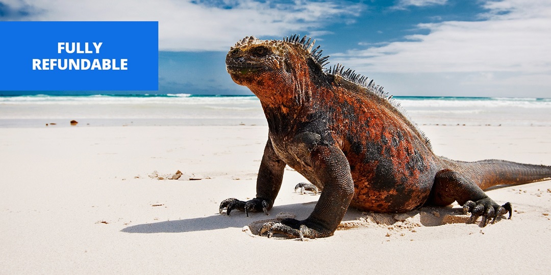 Amazon & the Galápagos 10night tour w/flights Travelzoo