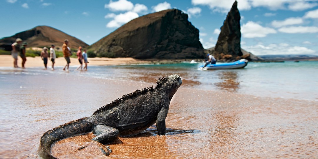 £1724pp—Ecuador 10night tour inc Galápagos w/flights Travelzoo