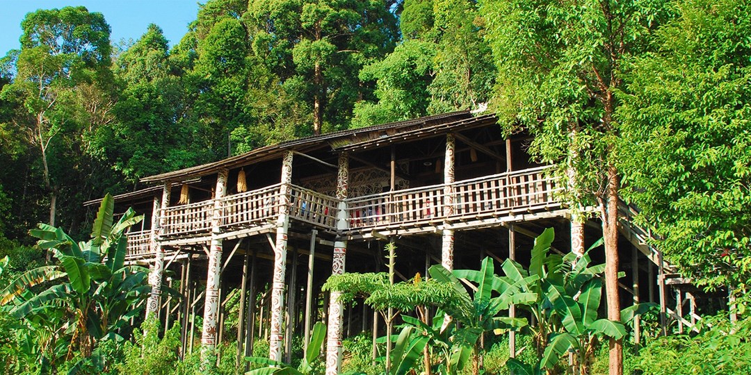 £1499pp & Up—rainforests & Orangutans: 10-nt Malaysia Tour 