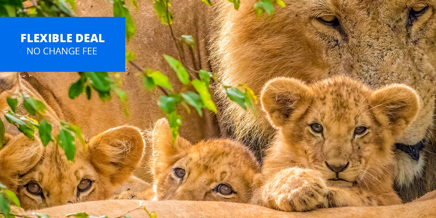 Travelzoo Deals on Hotels, Flights, Vacations, Cruises & More