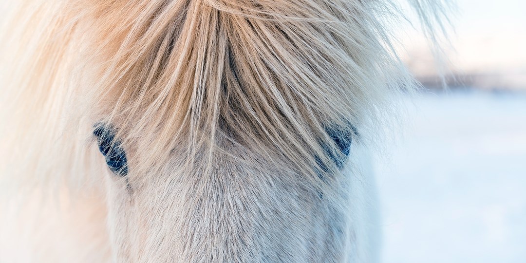 £999pp—Iceland, Niagara Falls & New York holiday inc flights Travelzoo