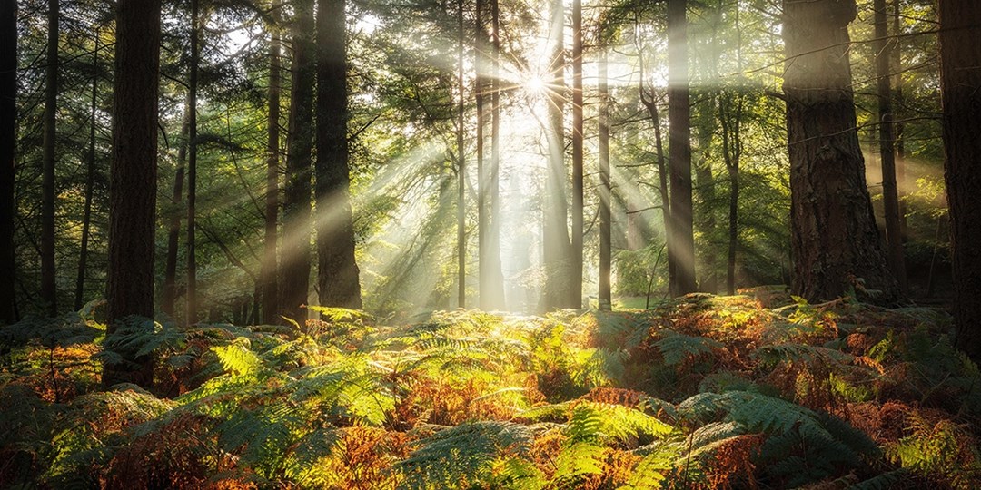 £109—UK cosy inns on sale, B&B stays until Dec Travelzoo