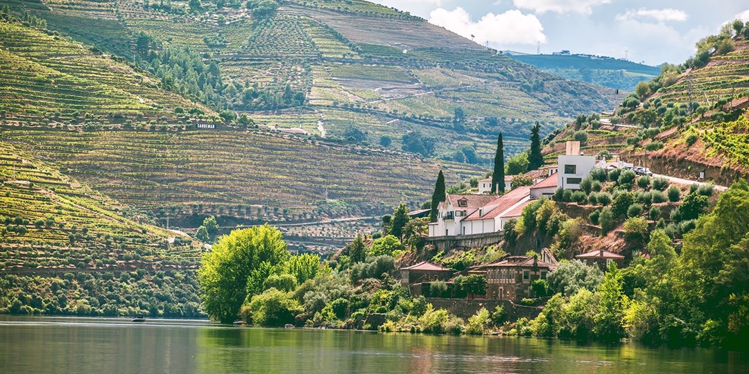 7nt premium Douro river cruise w/flts & excursions, in 2023 Travelzoo