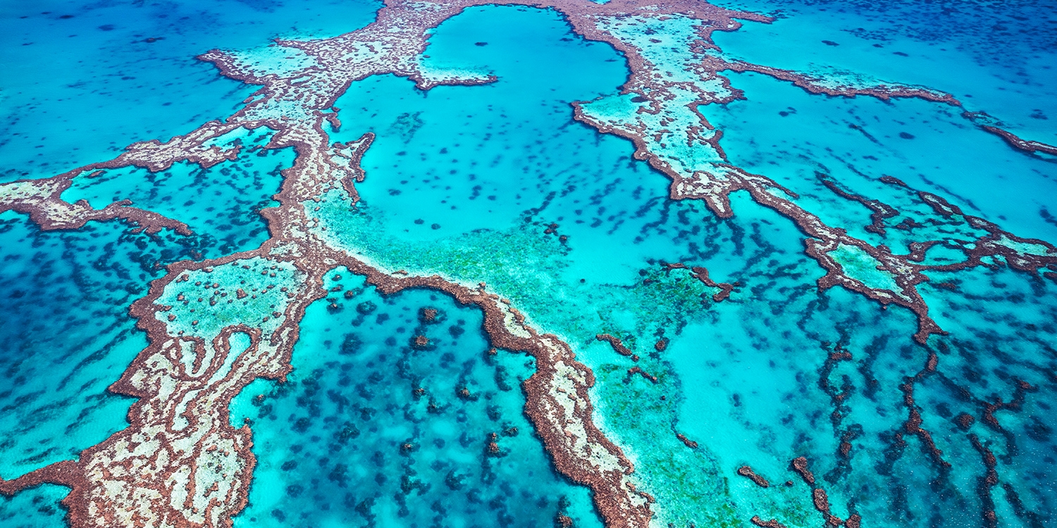 Australia: Sydney & Great Barrier Reef W/ Flights & Tours | Travelzoo