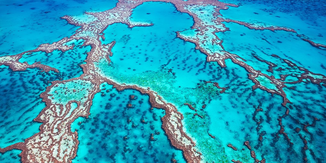 Australia Sydney & Great Barrier Reef w/ flights & tours Travelzoo