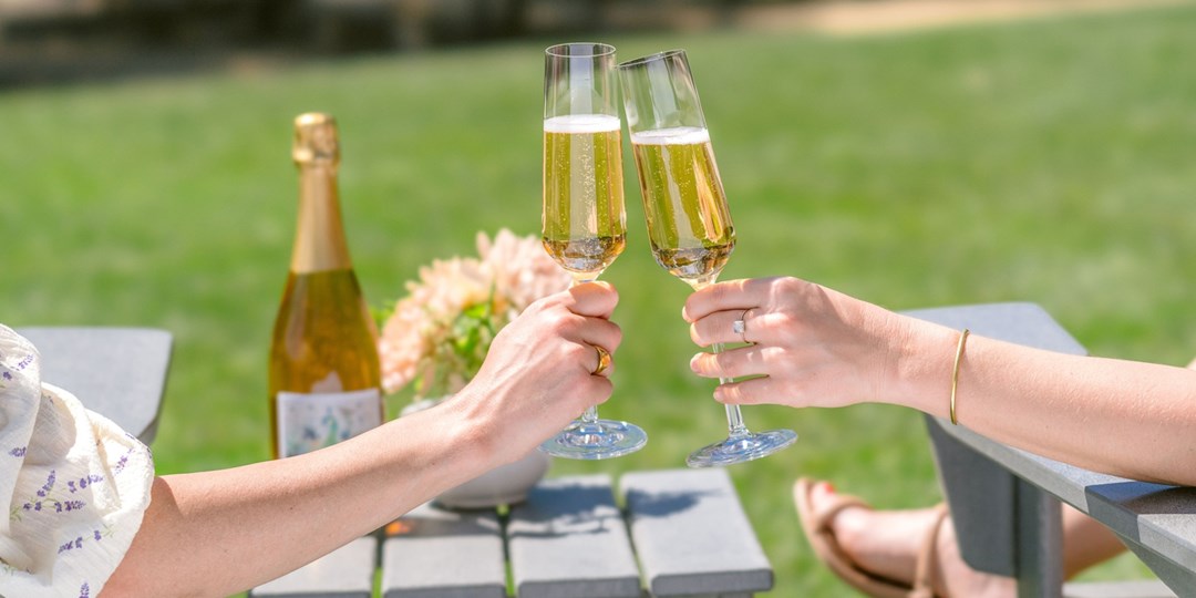 55 دولارًا – نزهة مصنع نبيذ وادي سونوما لشخصين، تسجيل. 80 دولارًا 55 دولارًا – نزهة مصنع نبيذ وادي سونوما لشخصين، تسجيل. 80 دولارًا