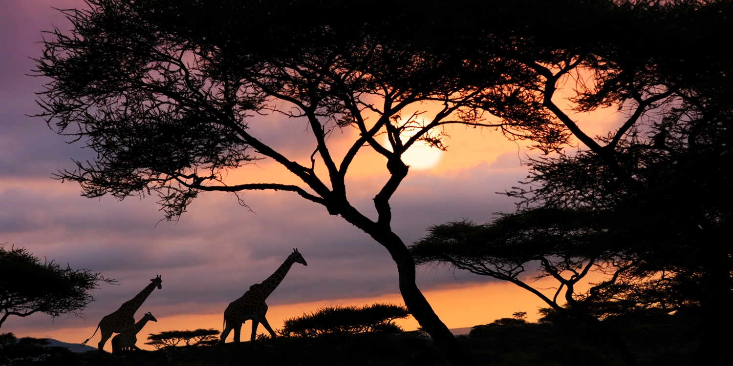 Hotel deals for christmas presents