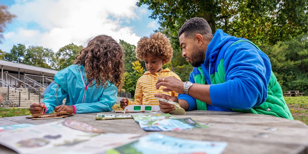 25 off—Forestry England annual membership Travelzoo