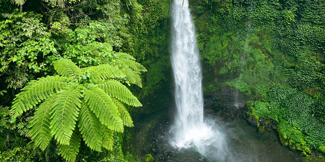 $1799 Indonesia island vacation from NYC Travelzoo $1799 Indonesia island vacation from NYC Travelzoo