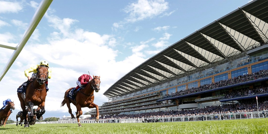 79pp Up Royal Ascot 2026 Ticket Travelzoo 79pp-up-royal-ascot-2026-ticket-travelzoo