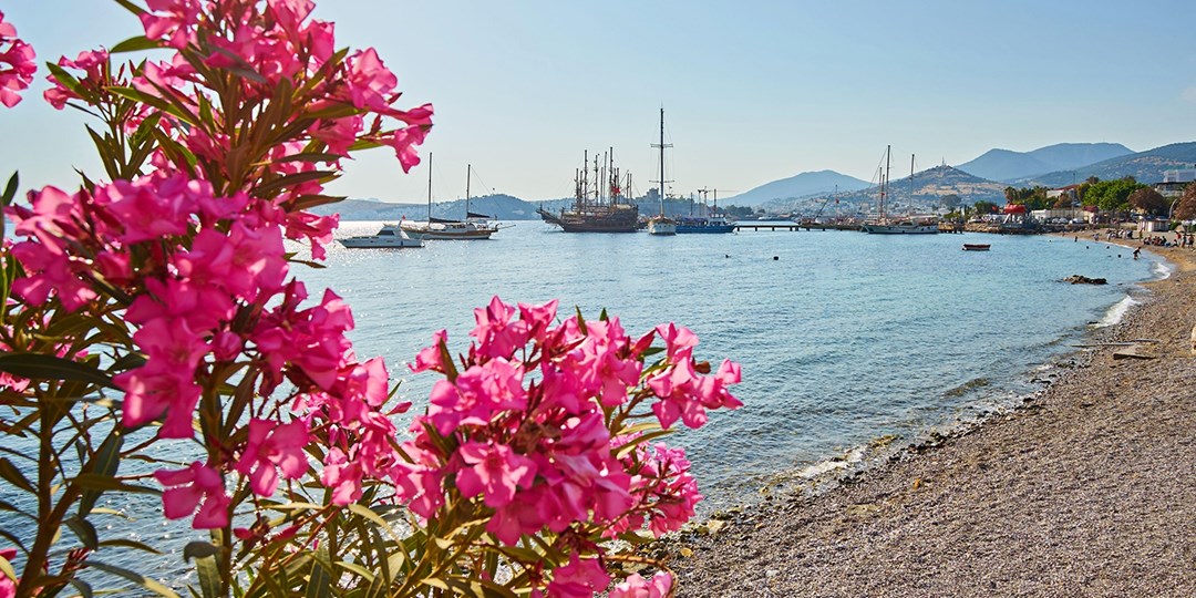 The Best Things to See and Do in Bodrum, Turkey Travelzoo