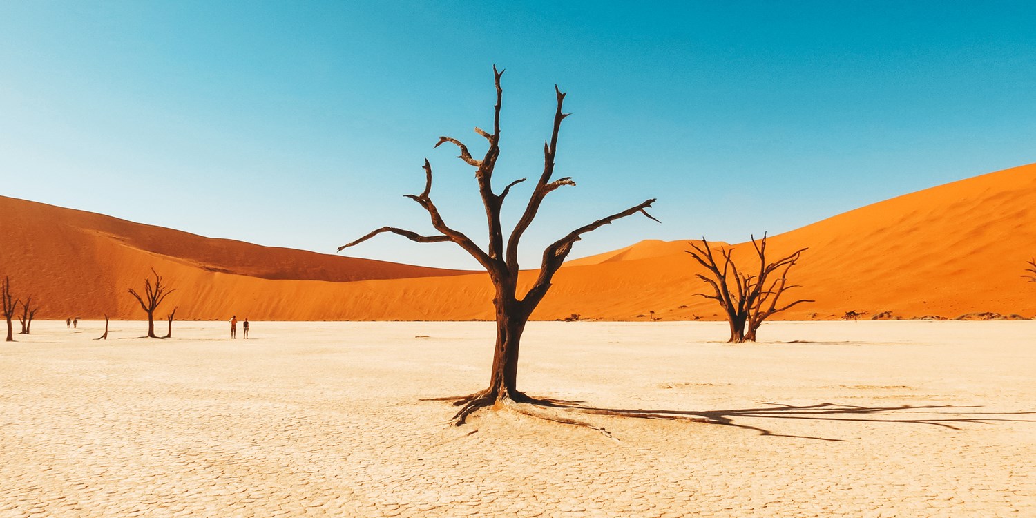 best-bucket-list-destination-2019-namibia-travelzoo