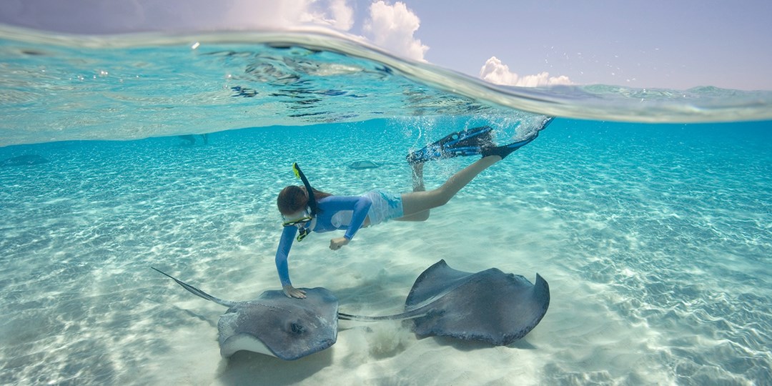 Caribbean 7Night Cruise w/Oceanview Cabin & Credit Travelzoo