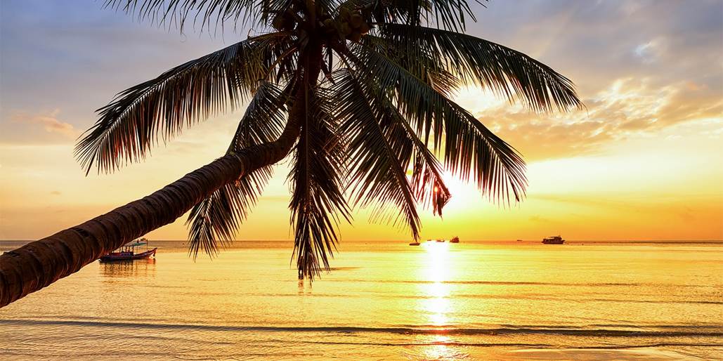 Weekly Deals: $459 – Cancun 5-Star All-Inclusive Escape w/Air (Up to 58%) 10 punta cana 5 star trip incl meals drinks & air