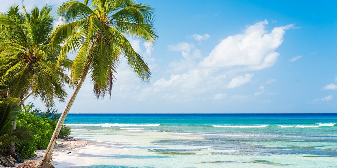 $1859—Halifax to Dominican: all-incl. 5-star week w/air | Travelzoo