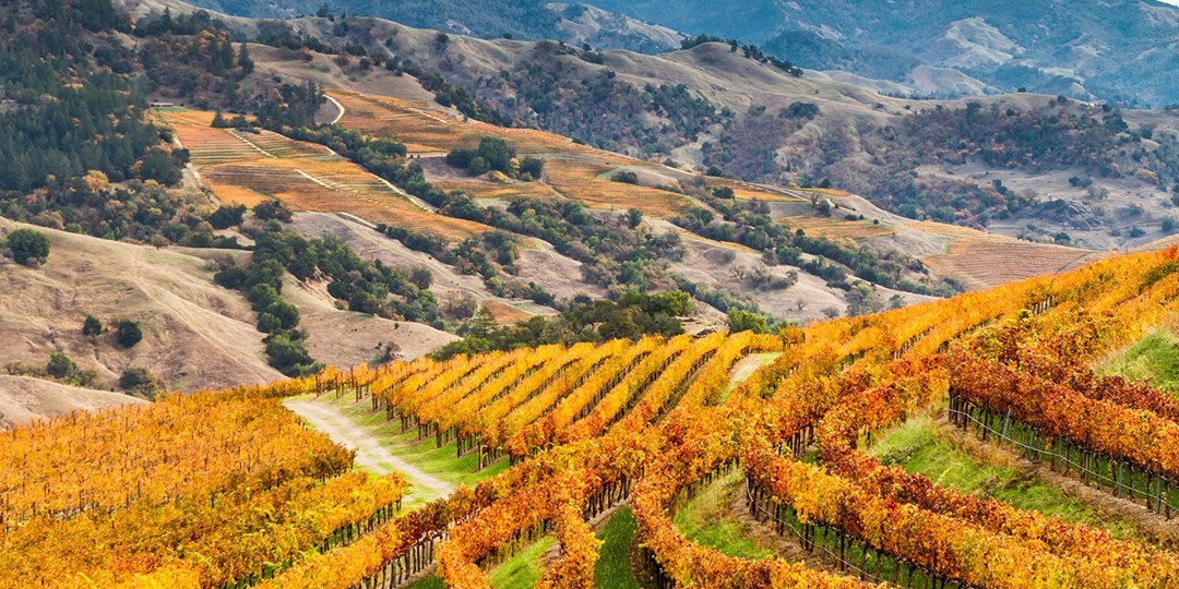 269 Temecula Wine Country 2Night Retreat, Reg. 360 Travelzoo