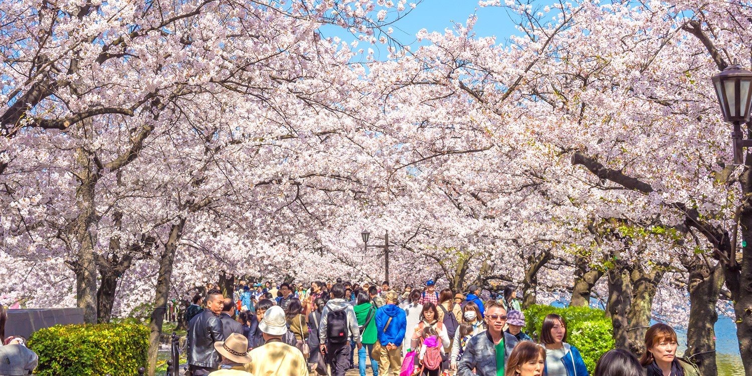 跟著主角的腳步置身日劇名場面拍攝地 Travelzoo 跟著主角的腳步置身日劇名場面拍攝地 Travelzoo
